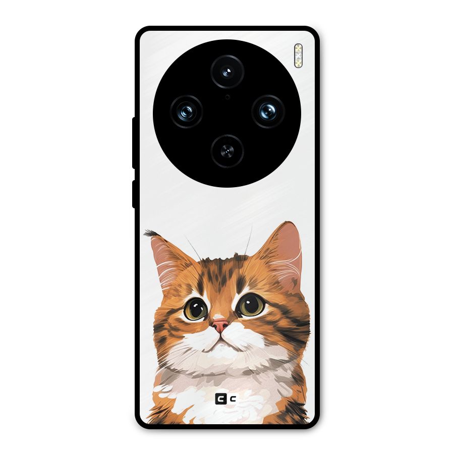 The Cute Cat Metal Back Case for Vivo X100 Pro