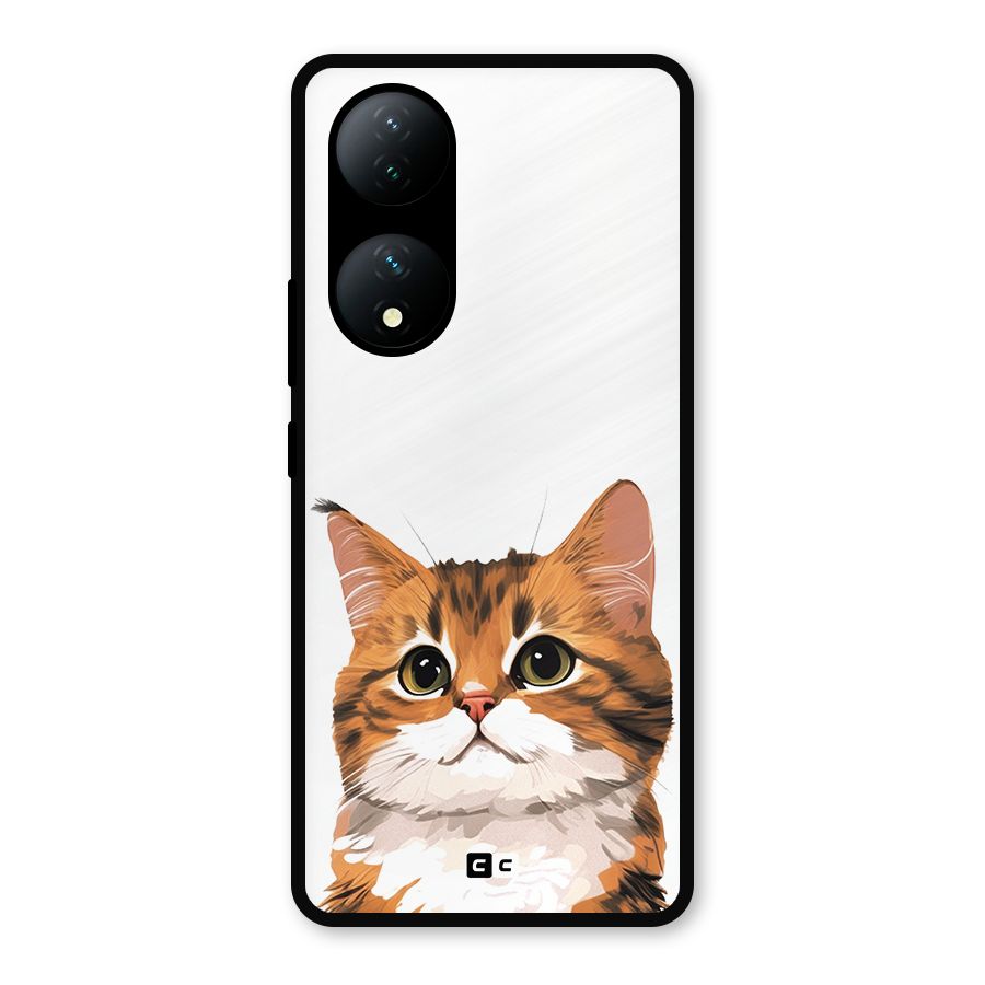 The Cute Cat Metal Back Case for Vivo Y100