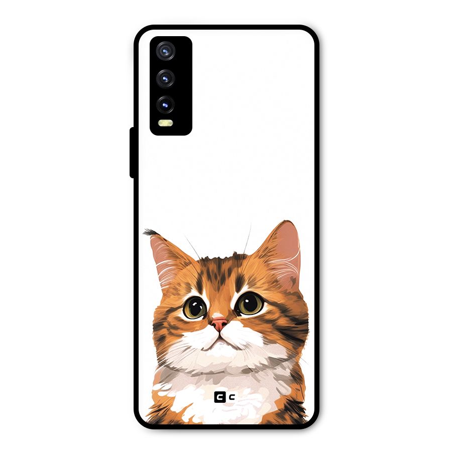 The Cute Cat Metal Back Case for Vivo Y20