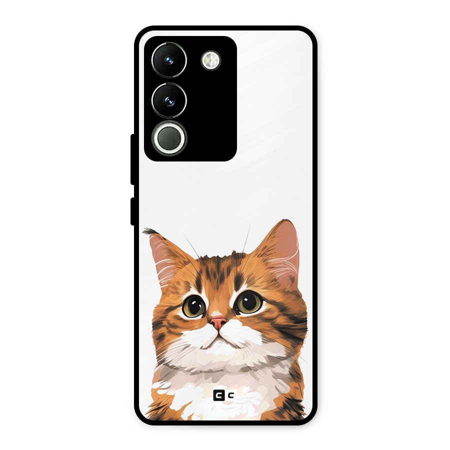 The Cute Cat Metal Back Case for Vivo Y200