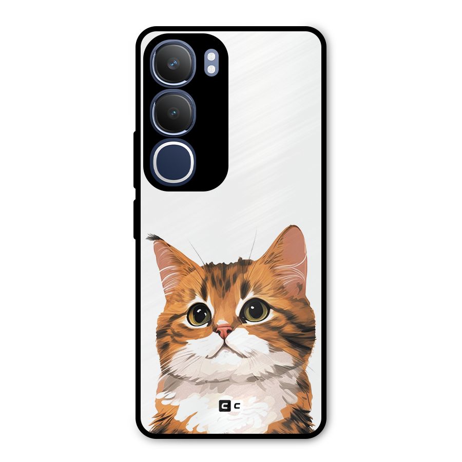 The Cute Cat Metal Back Case for Vivo Y29