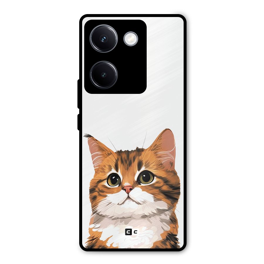 The Cute Cat Metal Back Case for Vivo Y300 Plus