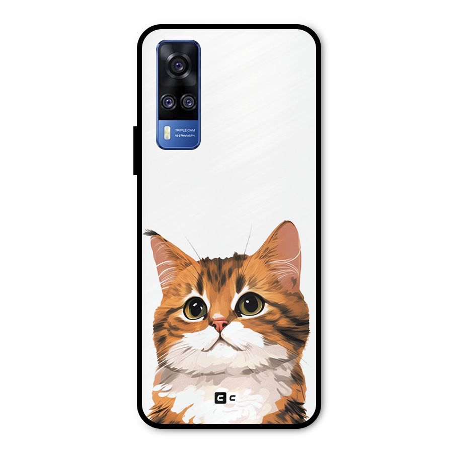 The Cute Cat Metal Back Case for Vivo Y31