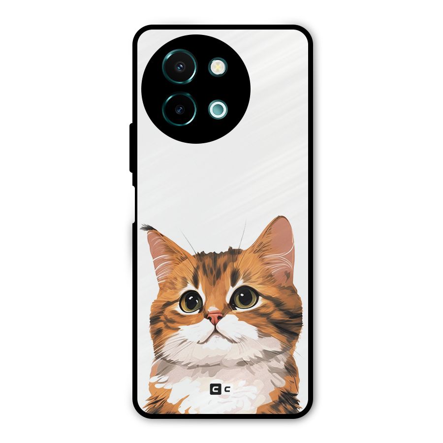 The Cute Cat Metal Back Case for Vivo Y58