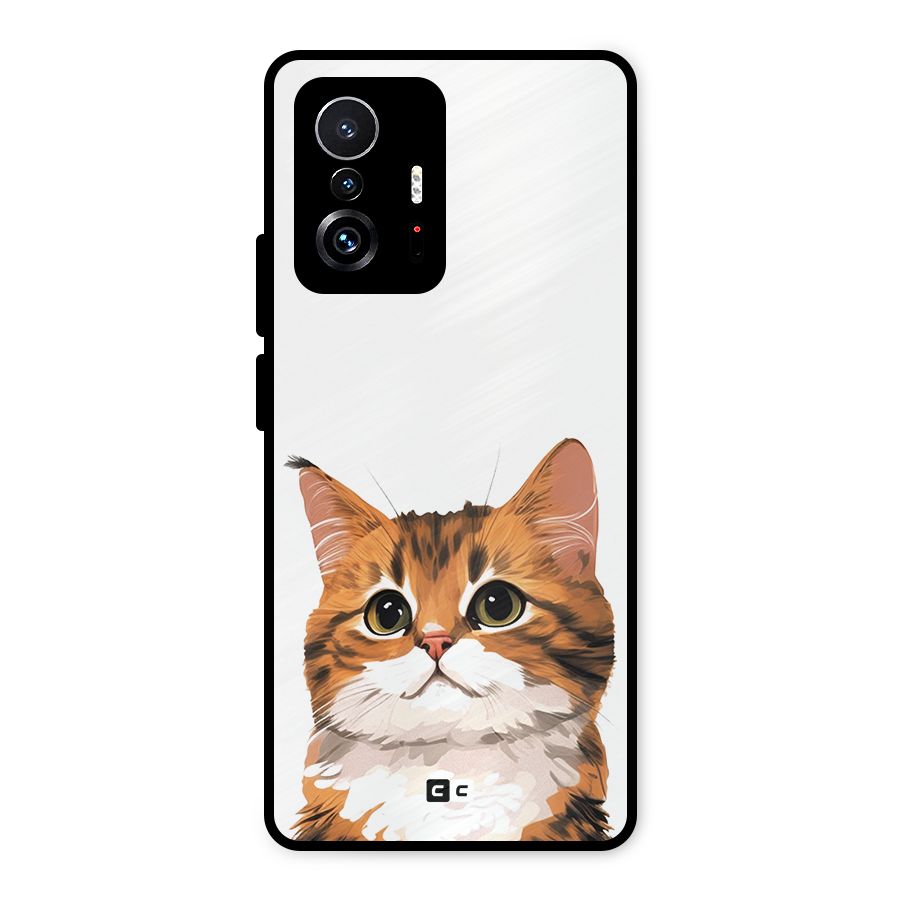 The Cute Cat Metal Back Case for Xiaomi 11T Pro