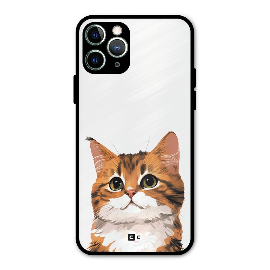 The Cute Cat Metal Back Case for iPhone 11 Pro Max