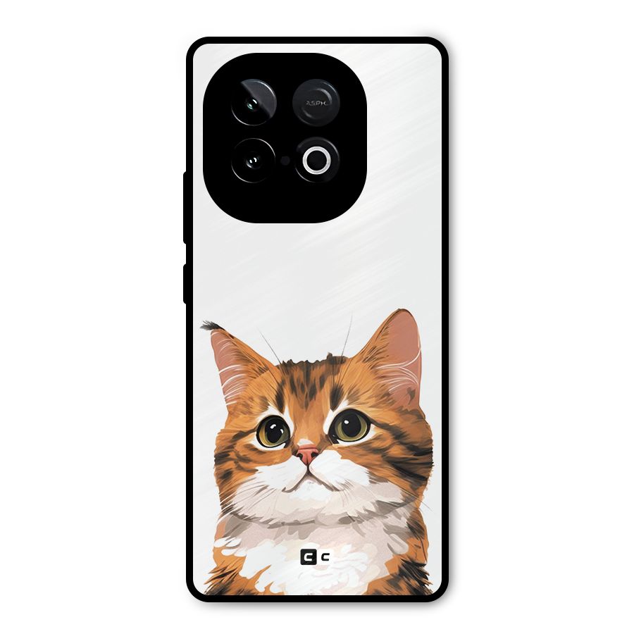 The Cute Cat Metal Back Case for iQOO Neo 10