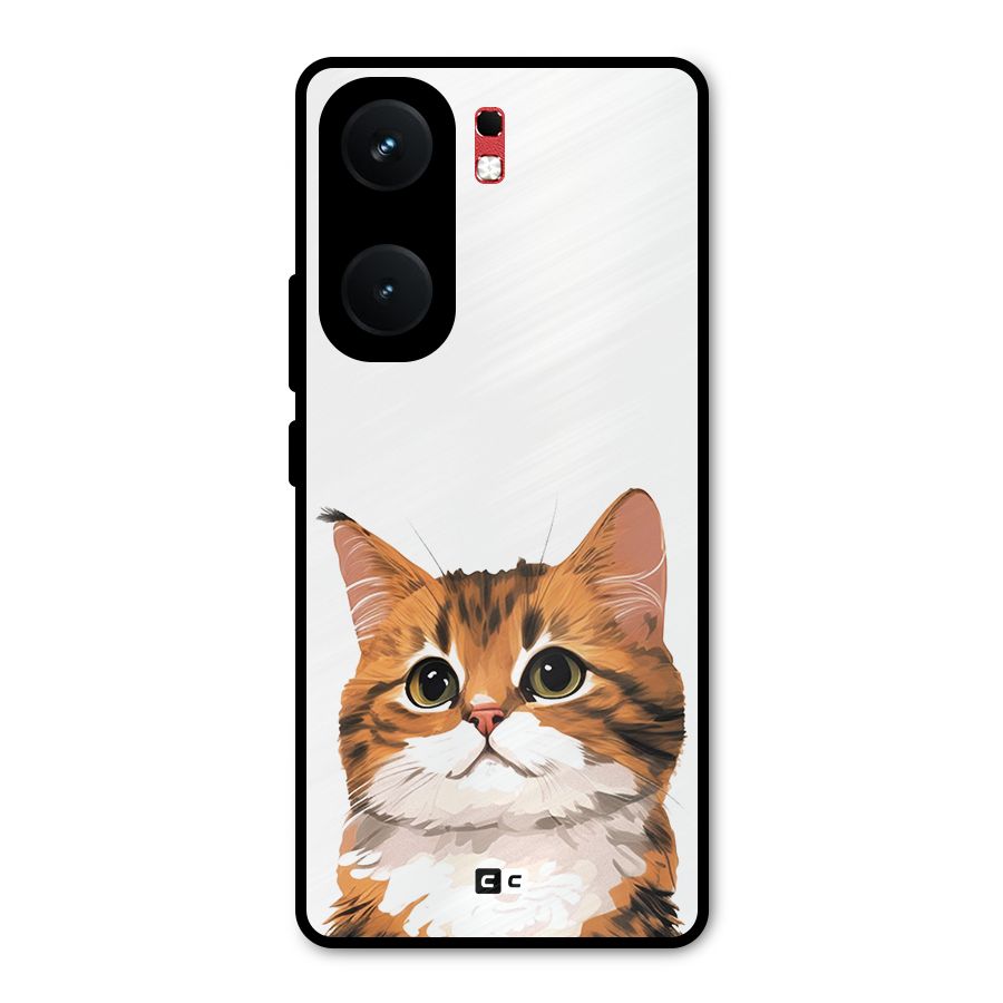 The Cute Cat Metal Back Case for iQOO Neo 9 Pro