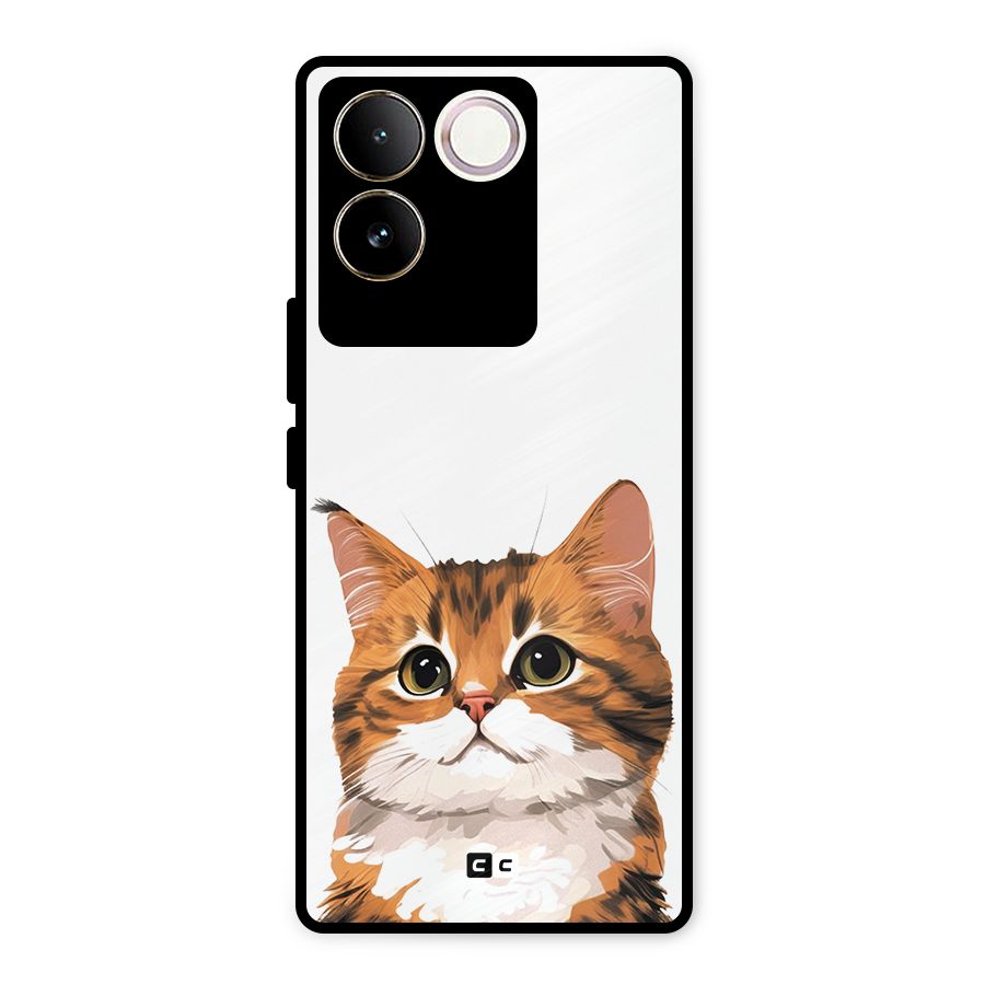 The Cute Cat Metal Back Case for iQOO Z7 Pro