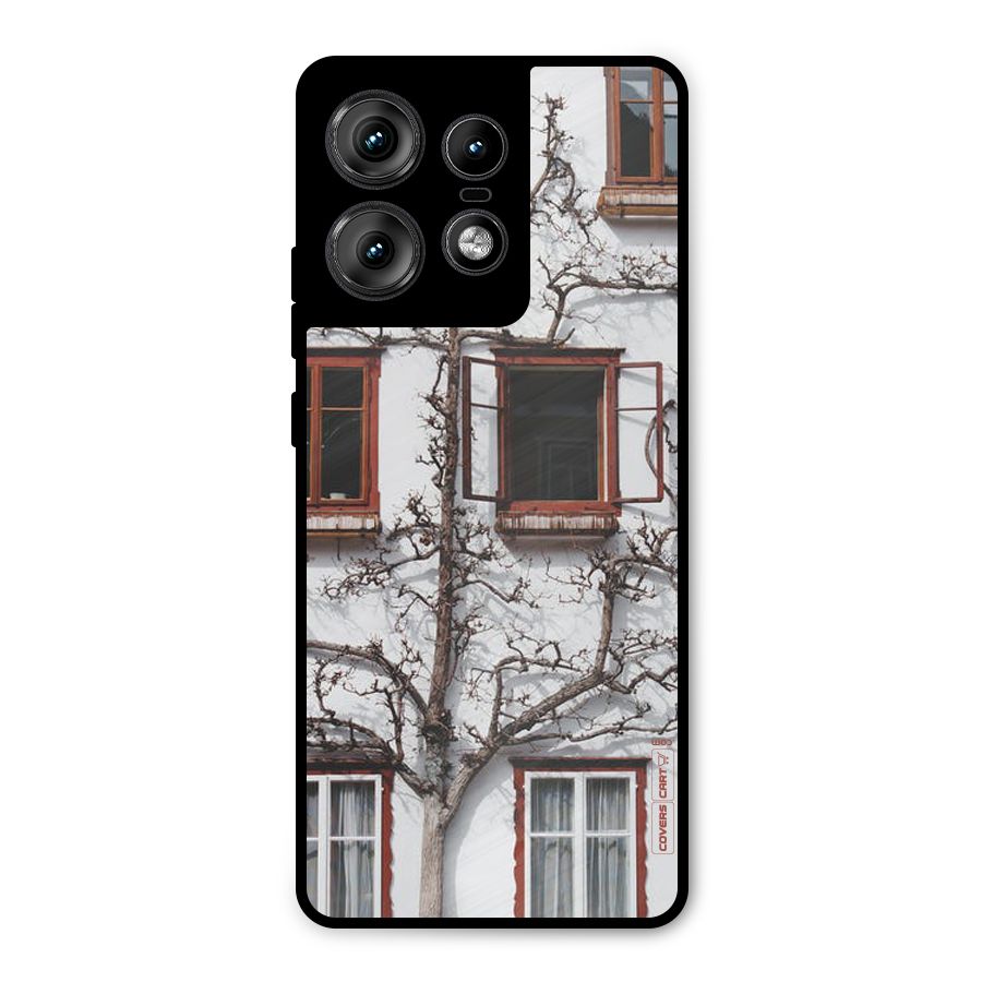 Tree House Metal Back Case for Motorola Edge 50 Pro