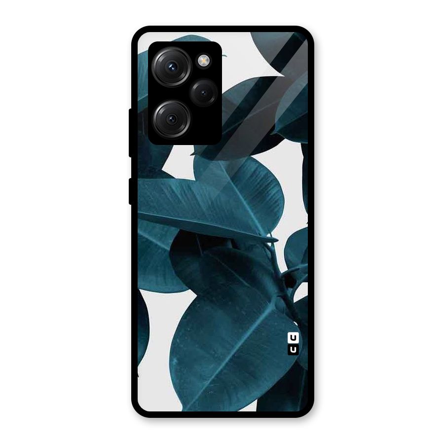 Very Aesthetic Leafs Glass Back Case for Poco X5 Pro