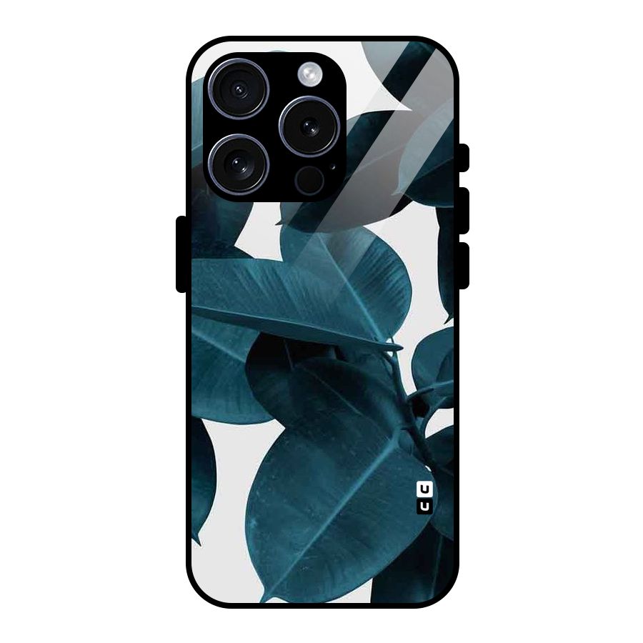 Very Aesthetic Leafs Glass Back Case for iPhone 15 Pro