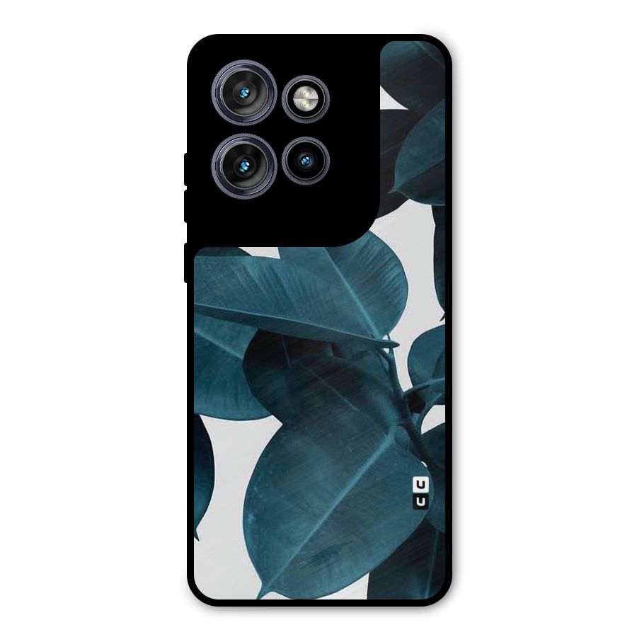 Very Aesthetic Leafs Metal Back Case for Motorola Edge 50 Neo
