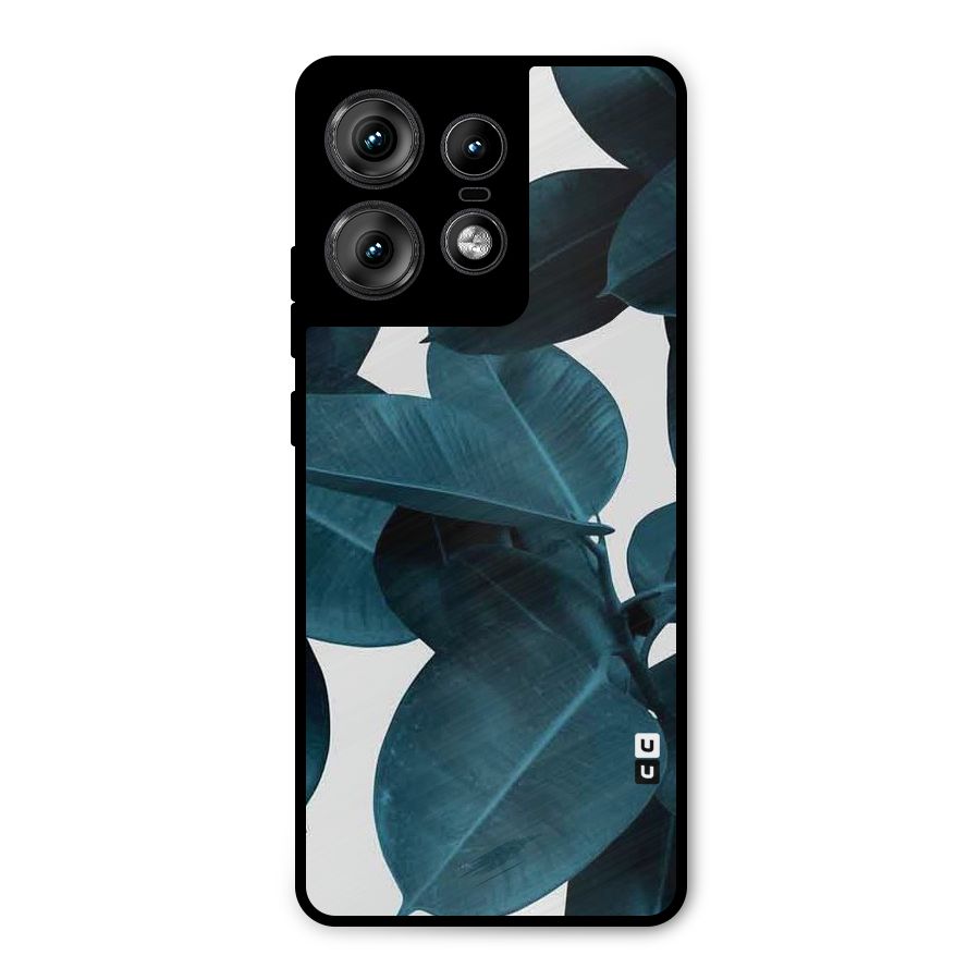Very Aesthetic Leafs Metal Back Case for Motorola Edge 50 Pro