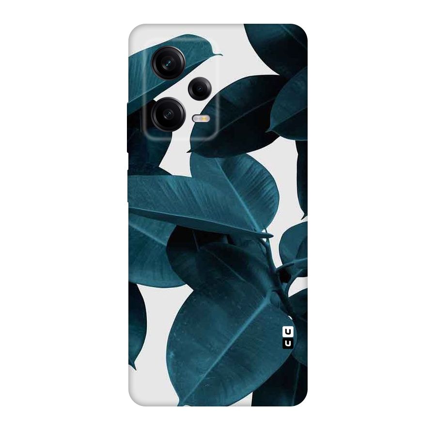 Very Aesthetic Leafs Original Polycarbonate Back Case for Redmi Note 12 Pro