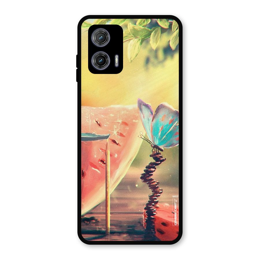 Watermelon Butterfly Metal Back Case for Moto G73