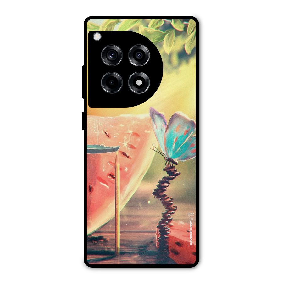 Watermelon Butterfly Metal Back Case for OnePlus 12R