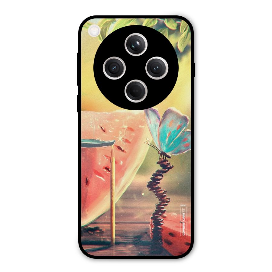 Watermelon Butterfly Metal Back Case for Oppo Find X8
