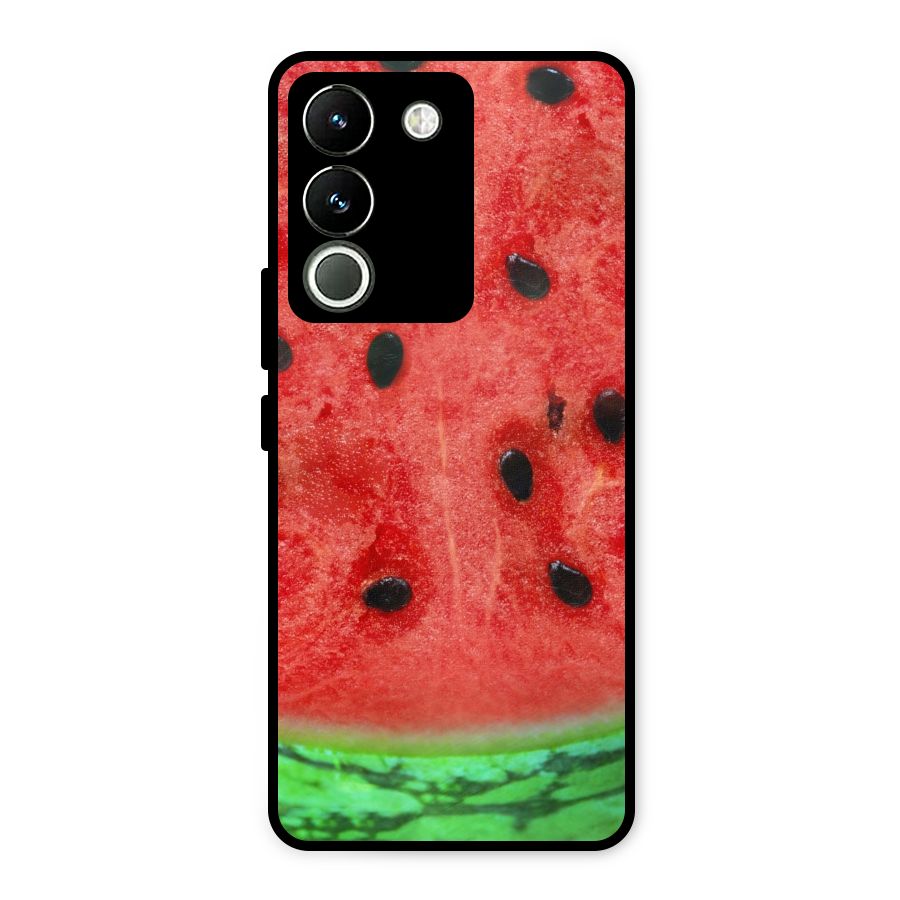 Watermelon Design Metal Back Case for Vivo Y200