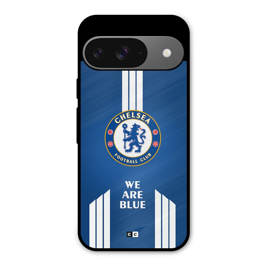 We Are Blue Metal Back Case for Google Pixel 9