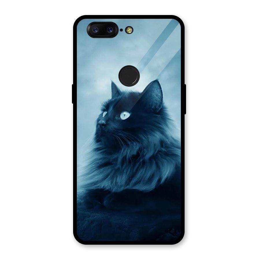 Wild Forest Cat Glass Back Case for OnePlus 5T