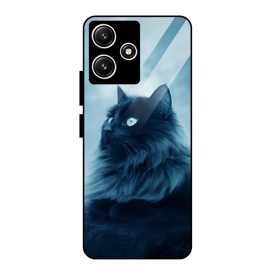 Wild Forest Cat Glass Back Case for Poco M6 Pro