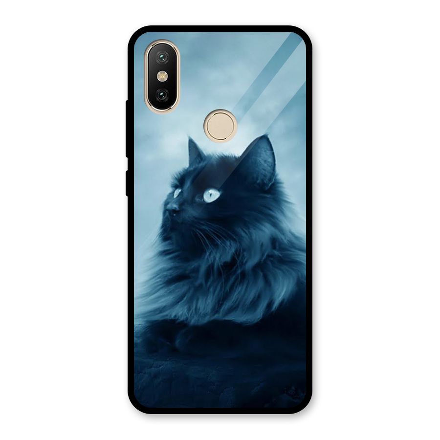 Wild Forest Cat Glass Back Case for Redmi A2