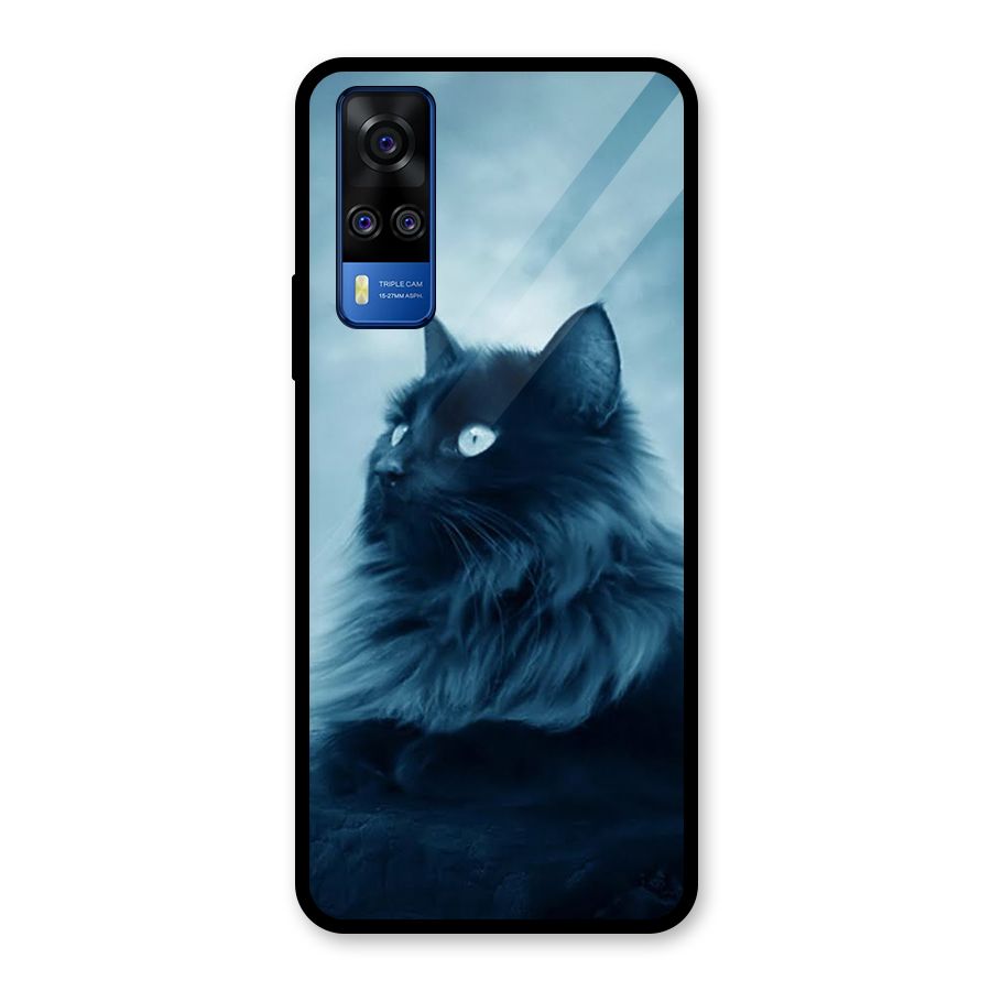 Wild Forest Cat Glass Back Case for Vivo Y31