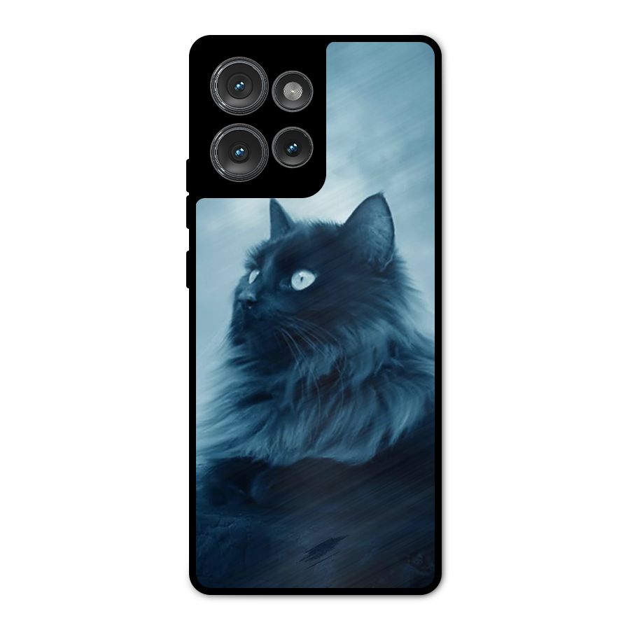 Wild Forest Cat Metal Back Case for Motorola Edge 50