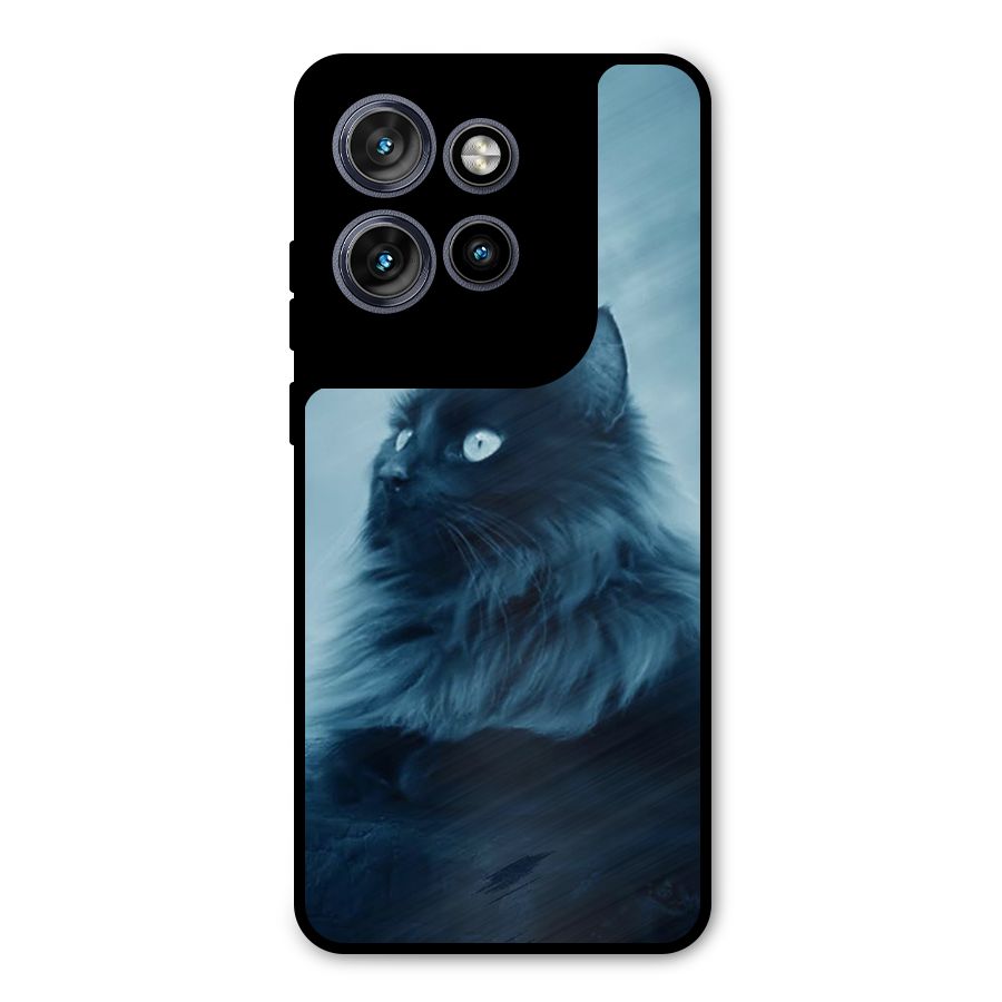 Wild Forest Cat Metal Back Case for Motorola Edge 50 Neo