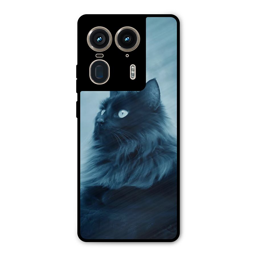 Wild Forest Cat Metal Back Case for Motorola Edge 50 Ultra