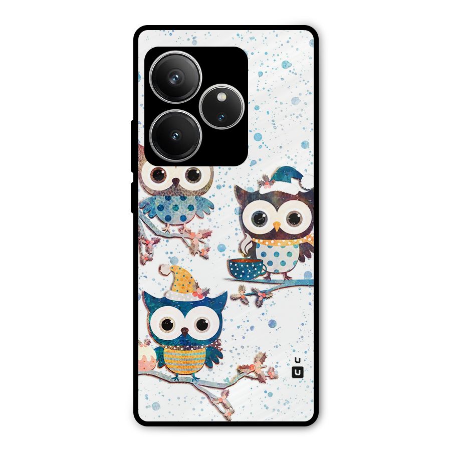 Winter Owls Metal Back Case for Realme GT 6