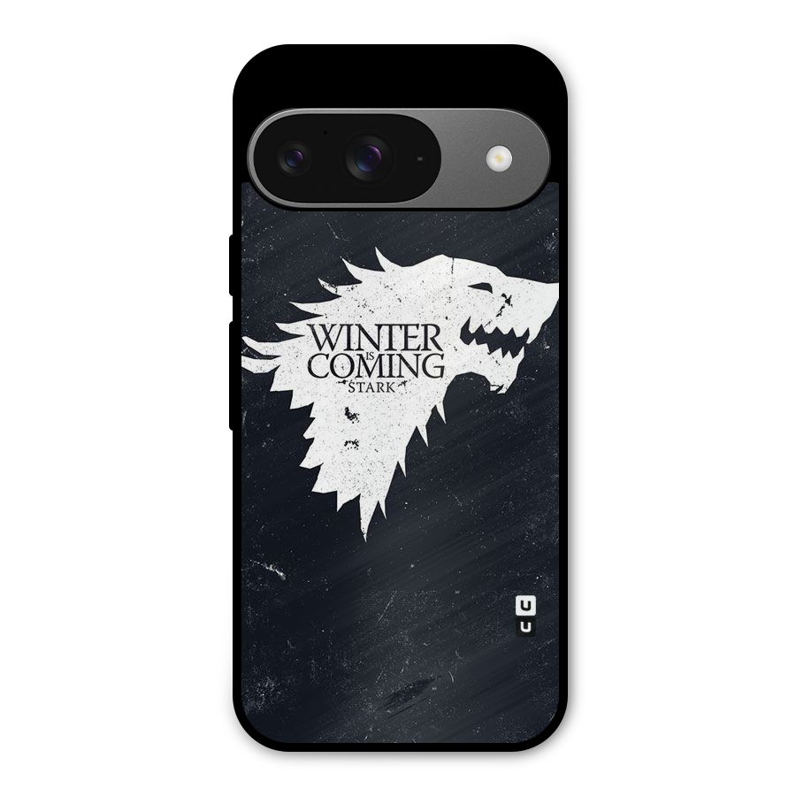 Winter is Coming Stark Metal Back Case for Google Pixel 9