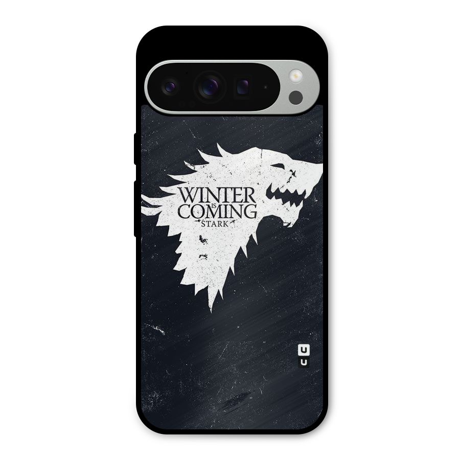 Winter is Coming Stark Metal Back Case for Google Pixel 9 Pro XL