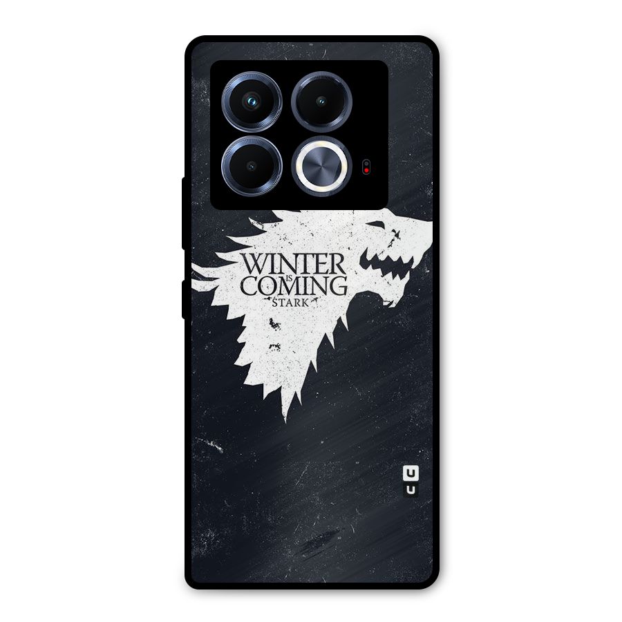 Winter is Coming Stark Metal Back Case for Infinix Note 40 5G