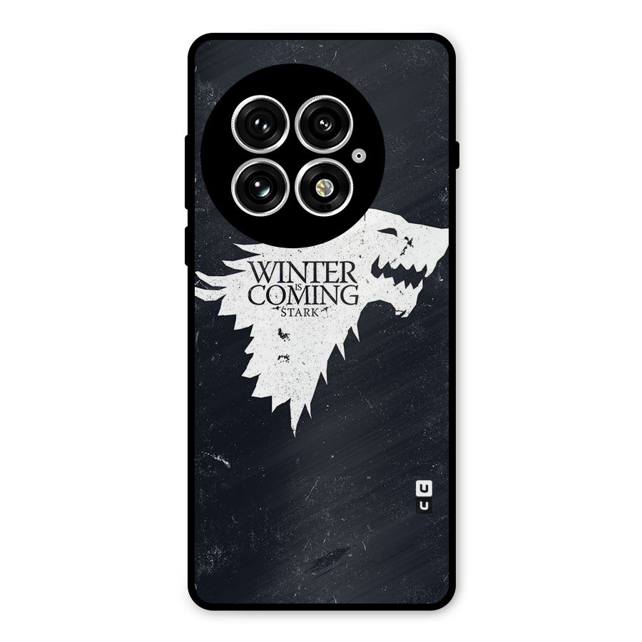 Winter is Coming Stark Metal Back Case for OnePlus 13
