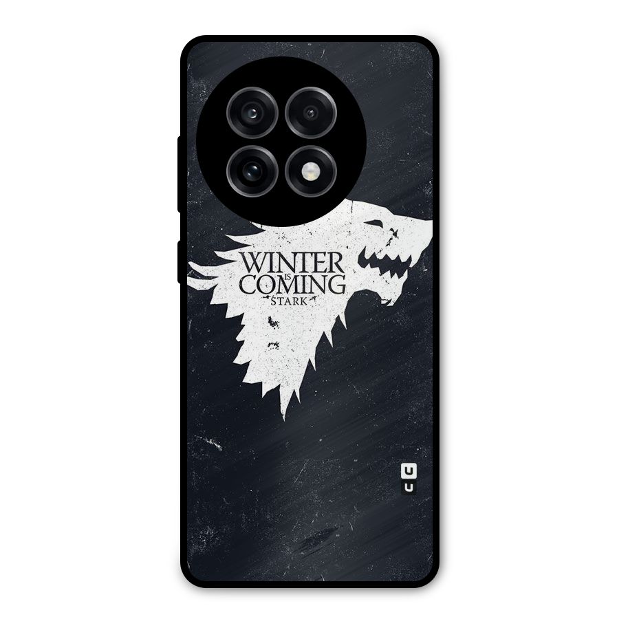 Winter is Coming Stark Metal Back Case for OnePlus 13R
