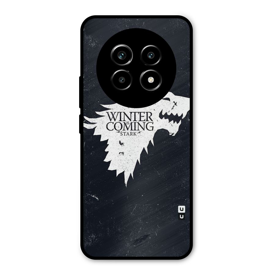 Winter is Coming Stark Metal Back Case for Realme 13 Pro