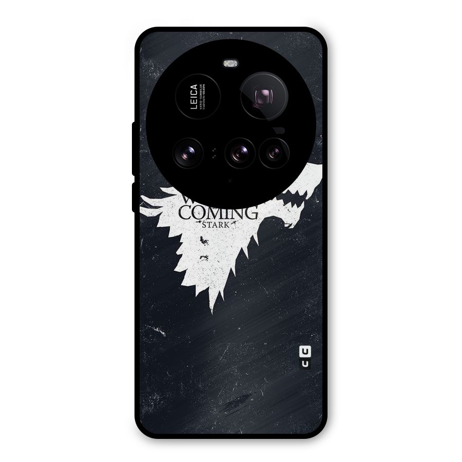 Winter is Coming Stark Metal Back Case for Xiaomi 15 Ultra