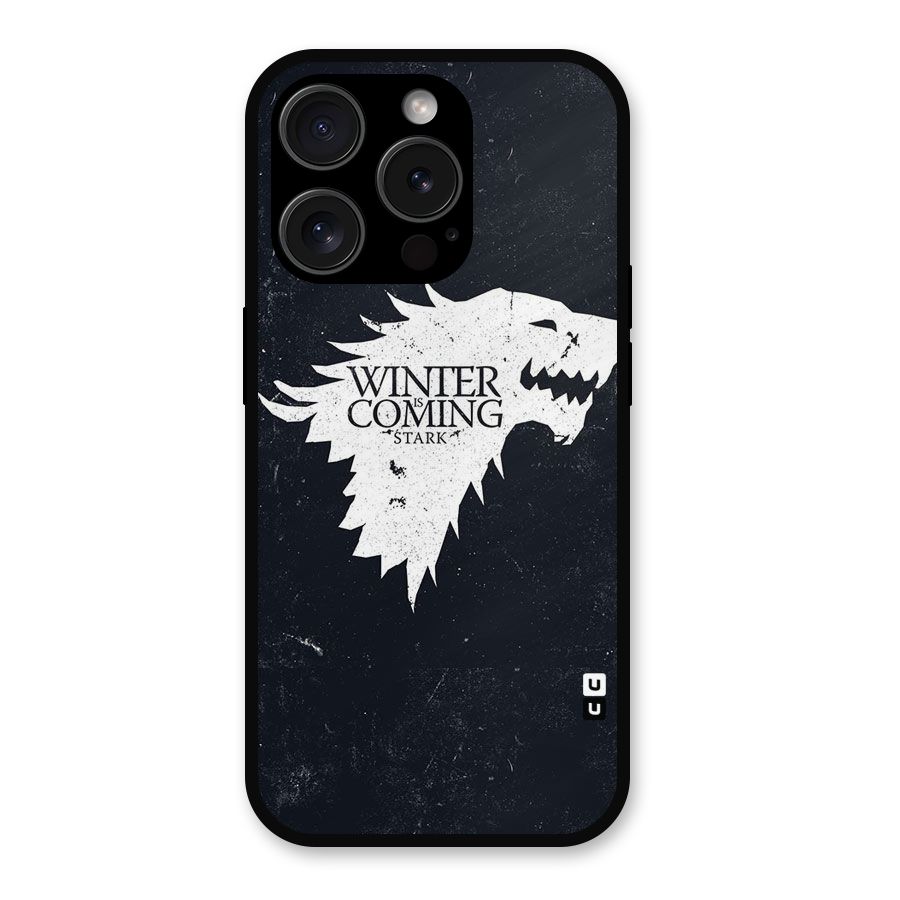 Winter is Coming Stark Metal Back Case for iPhone 15 Pro