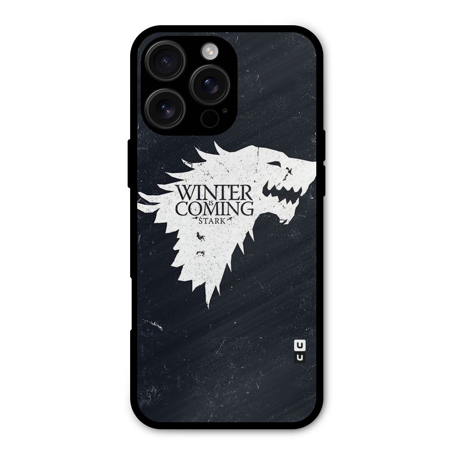 Winter is Coming Stark Metal Back Case for iPhone 16 Pro Max