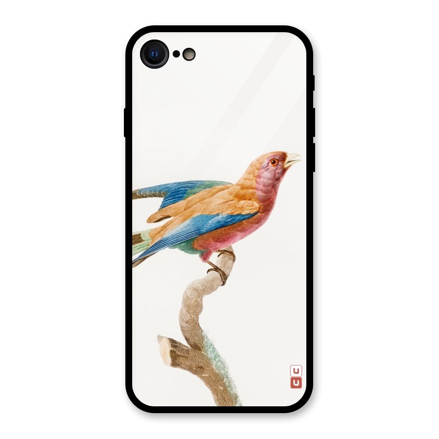 Beautiful Bird Glass Back Case for iPhone 7