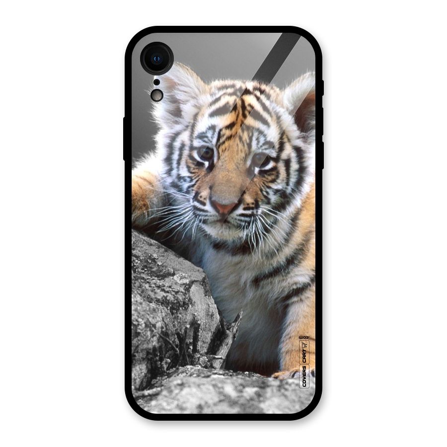 Animal Beauty Glass Back Case for iPhone XR