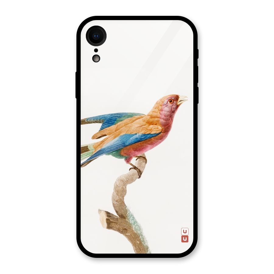 Beautiful Bird Glass Back Case for iPhone XR