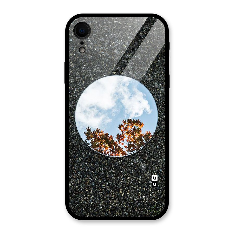 Beautiful Sky Leaves Glass Back Case for iPhone XR