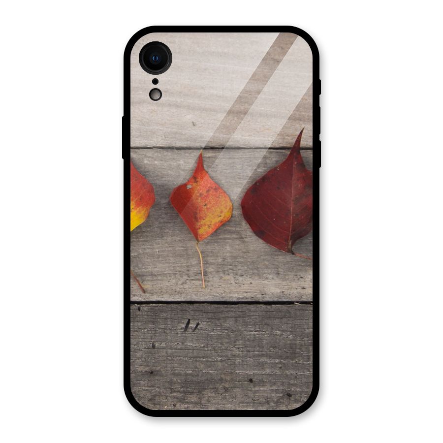 Beautiful Wood Leafs Glass Back Case for iPhone XR