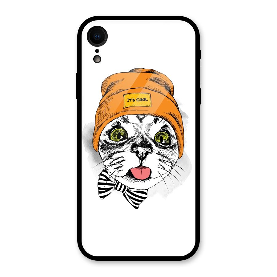 Cool cat Glass Back Case for iPhone XR