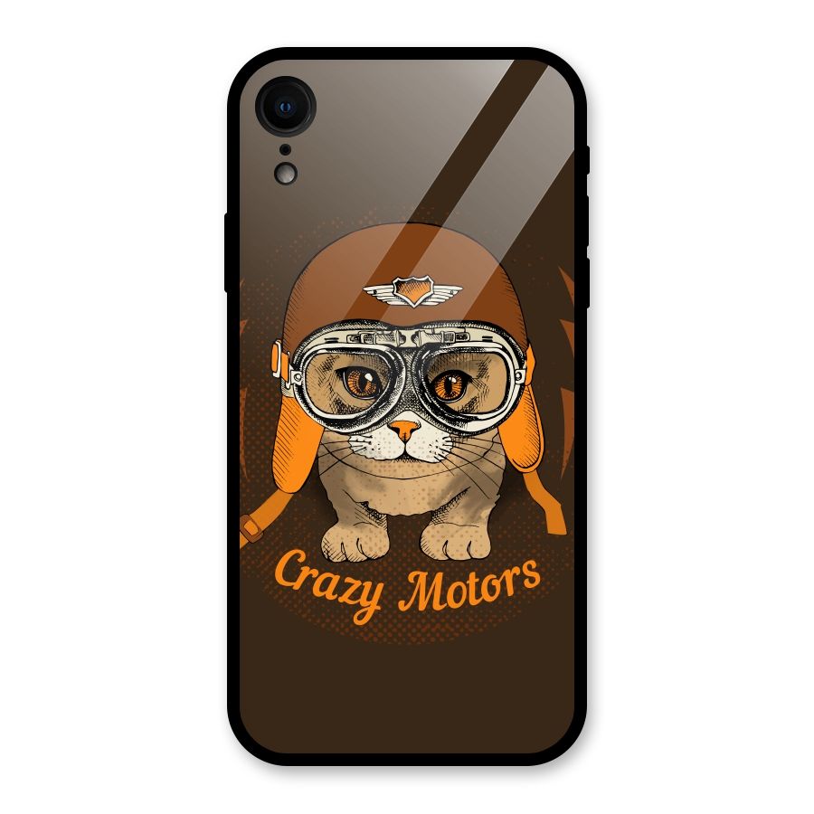 Crazy cat Glass Back Case for iPhone XR