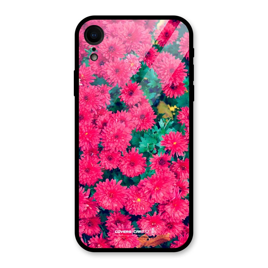 Pink Flowers Glass Back Case for iPhone XR