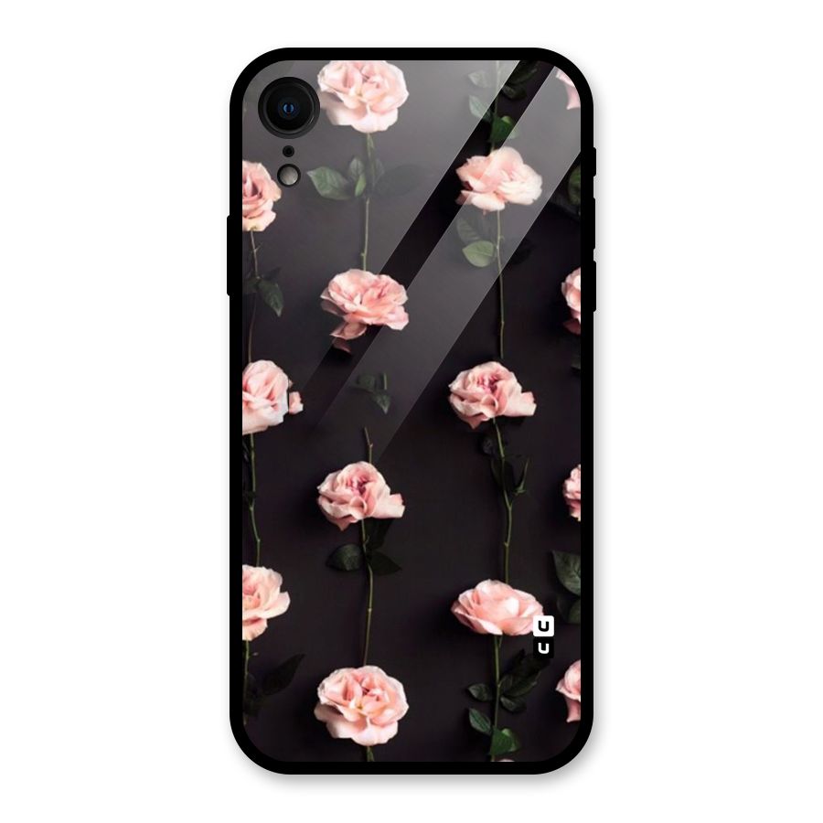 Pink Roses Glass Back Case for iPhone XR